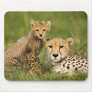 Cheetah Cub and Parent in Grass Mouse Mat