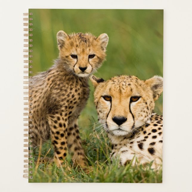 Cheetah Cub and Parent in Grass Planner (Front)
