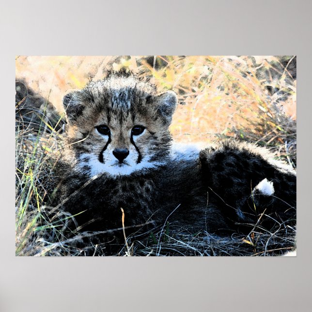 Cheetah cub canvas print (Front)