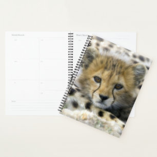 Cheetah Cub Planner