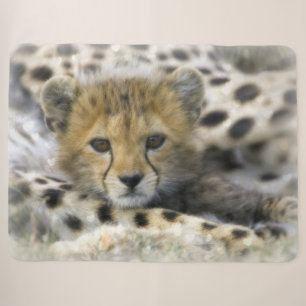 Cheetah Cub Sherpa Blanket