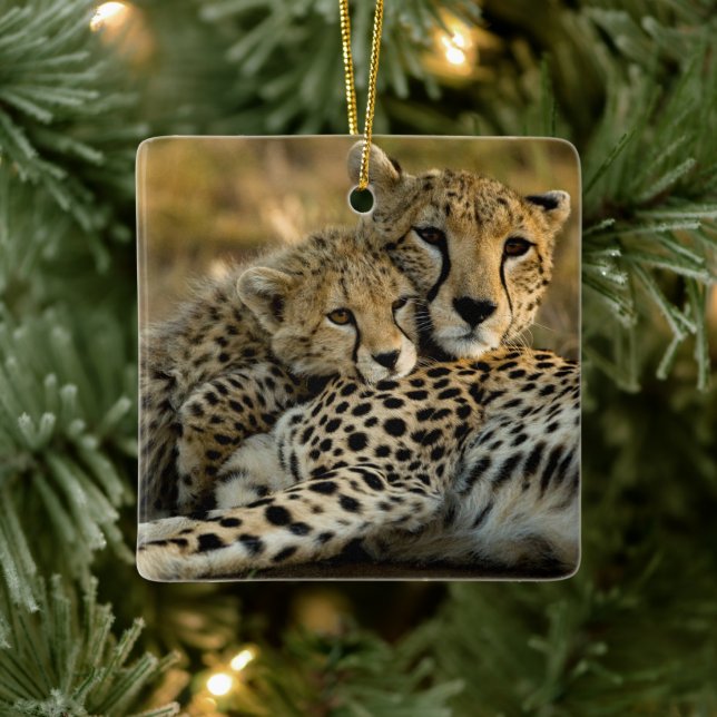 Cheetah Cub Snuggling with its Mom Ceramic Ornament (Tree)