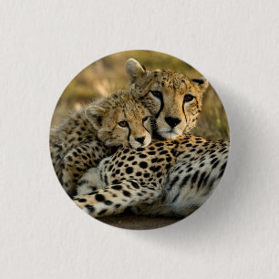 Cheetah Cub Snuggling with its Mum 3 Cm Round Badge