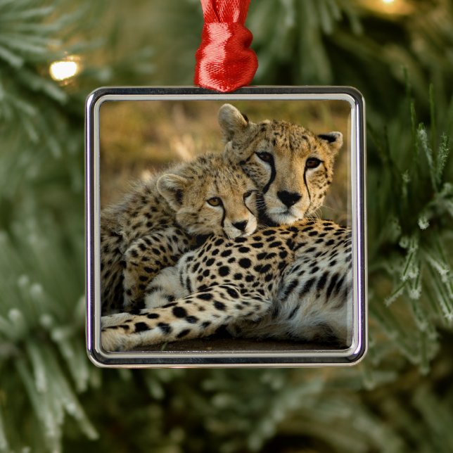 Cheetah Cub Snuggling with its Mum Metal Tree Decoration (Tree)
