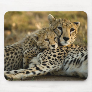 Cheetah Cub Snuggling with its Mum Mouse Mat