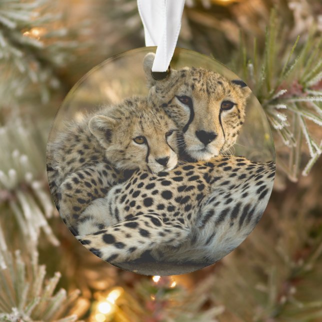 Cheetah Cub Snuggling with its Mum Ornament (Tree)