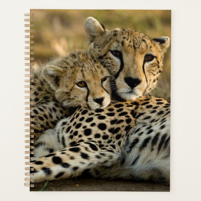 Cheetah Cub Snuggling with its Mum Planner (Front)