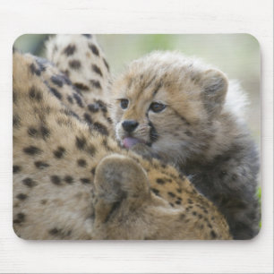 Cheetah Cub with Mum Mouse Mat