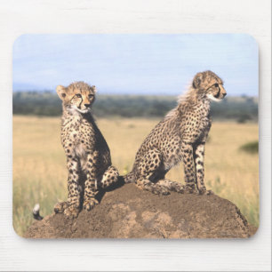 Cheetah Cubs Mousepad