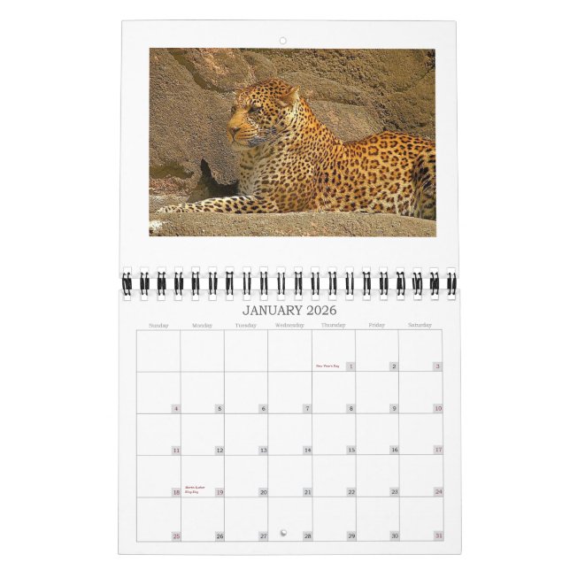 cheetah-cubs, NORPHLET, LEOPARDS Calendar (Jan 2026)