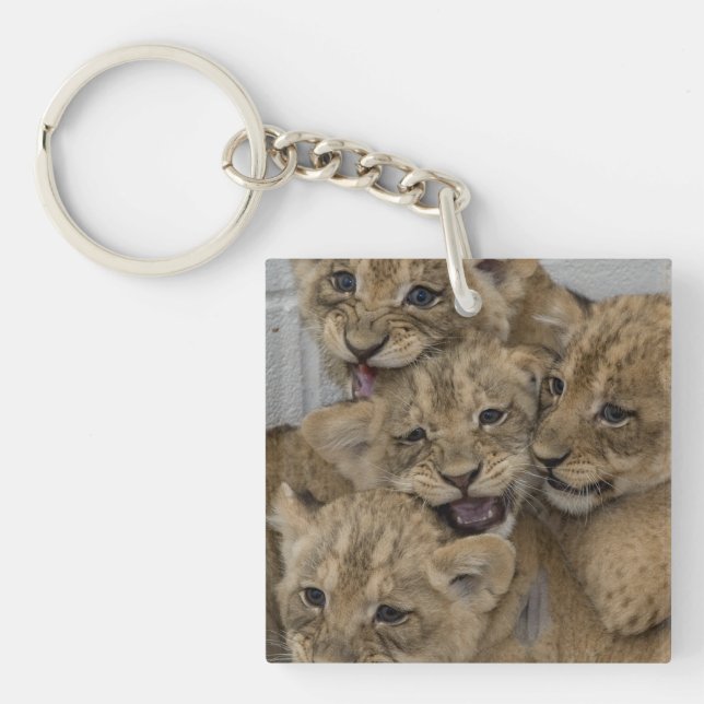 Cheetah Cubs Playing Key Ring (Front)