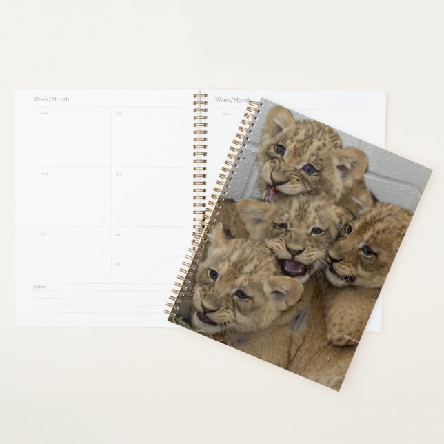 Cheetah Cubs Playing Planner (Display)