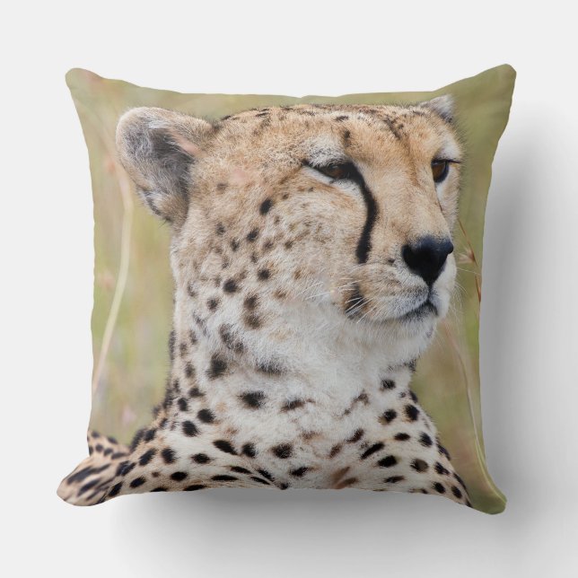 Cheetah Cushion (Front)