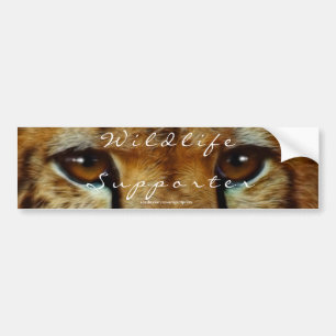 CHEETAH EYES Wildlife Supporter BUMPER STICKER