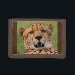 Cheetah Face Brown TriFold Nylon Wallet<br><div class="desc">Cheetah Face Brown TriFold Nylon Wallet.  Dimensions: 11.4 cm x 7.8 cm (4.5" x 3.1") closed and 11.4 cm x 24.1 cm (4.5" x 9.5") open. 100% nylon with hook and loop closure. Full-length note pocket,  two credit card pockets,  and ID card window.</div>