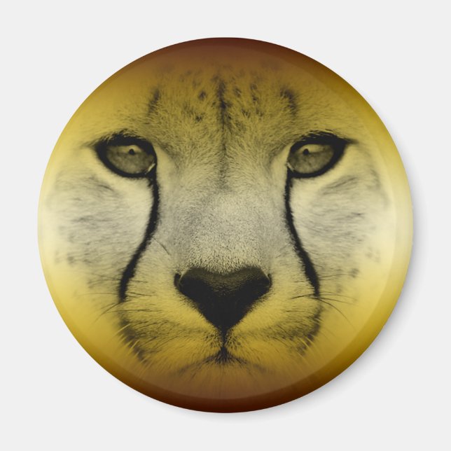 CHEETAH FACE MAGNET (Front)