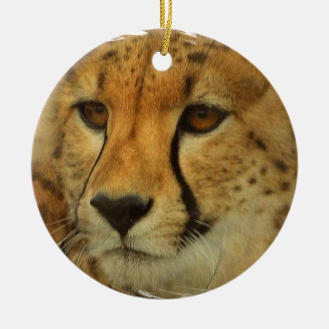 Cheetah Face Ornament (Front)