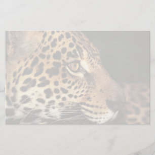 Cheetah Face Stationery