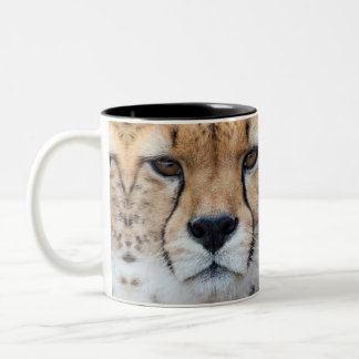 Cheetah face Two-Tone coffee mug