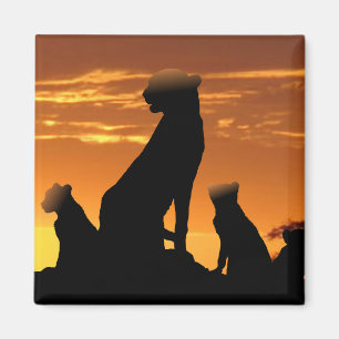 Cheetah family magnet