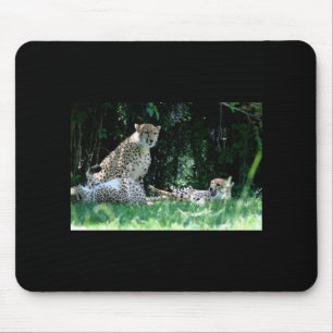 Cheetah Family Mousepad
