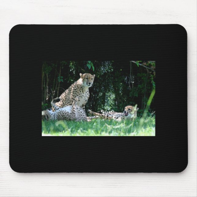 Cheetah Family Mousepad (Front)