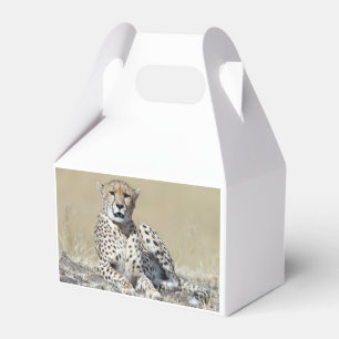 Cheetah Favour Box