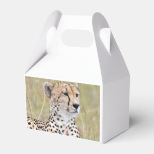Cheetah Favour Box