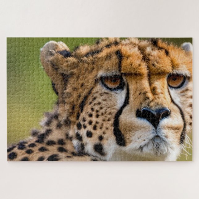 Cheetah Headshot Jigsaw Puzzle (Horizontal)