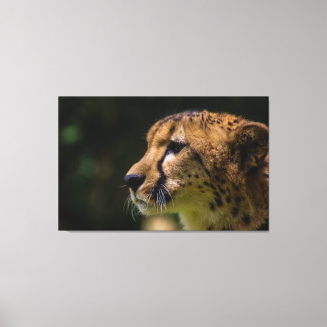 Cheetah Heart You! Canvas Print (Front)