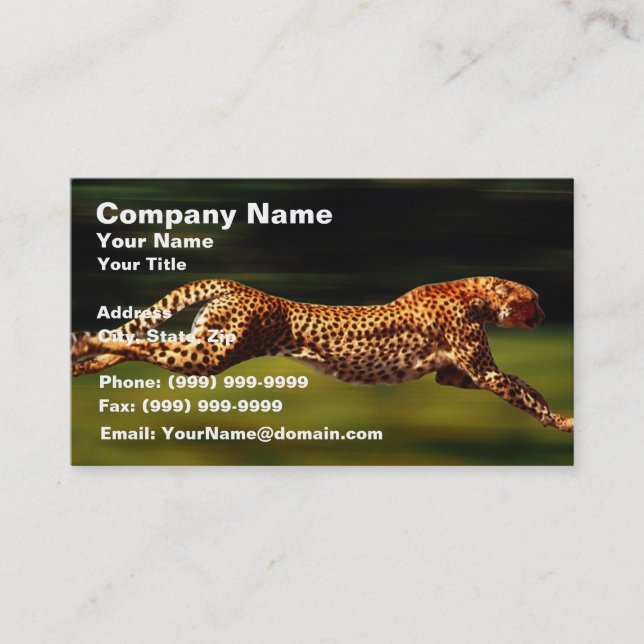 Cheetah Hunting His Prey Business Card (Front)