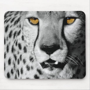 Cheetah in black and white mouse mat