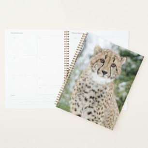 Cheetah in Snow Planner