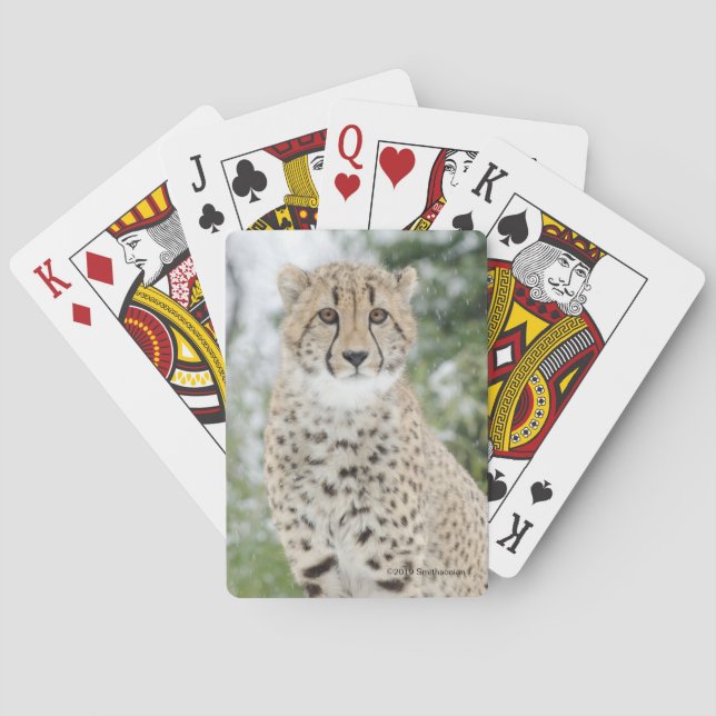 Cheetah in Snow Playing Cards (Back)
