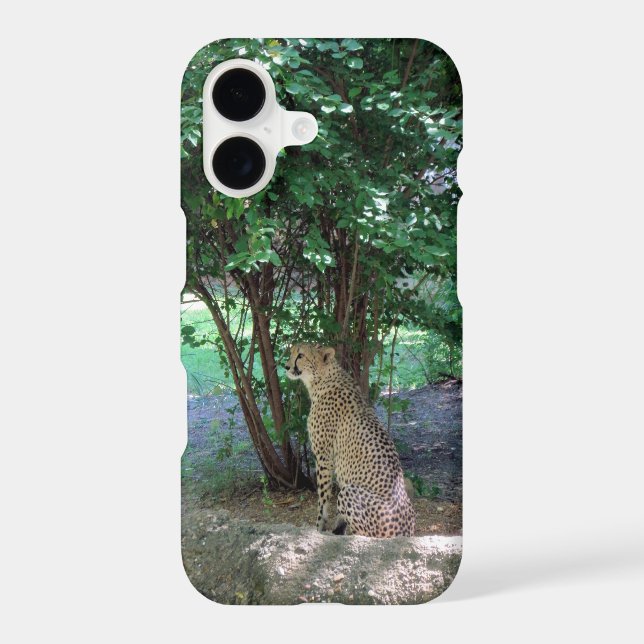 Cheetah iPhone Case (Back)