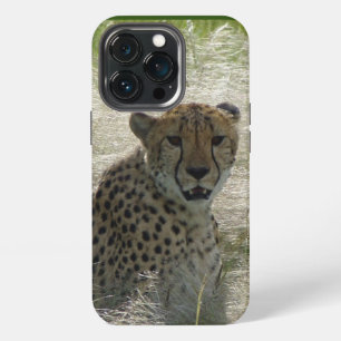 Cheetah iPhone / iPad case