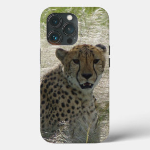 Cheetah iPhone / iPad case