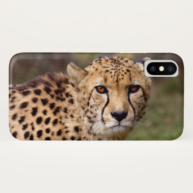 Cheetah iPhone X Case (Back (Horizontal))