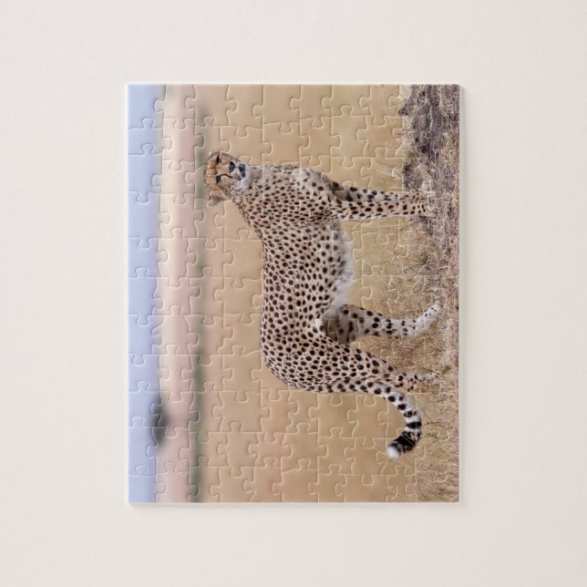 Cheetah Jigsaw Puzzle (Vertical)