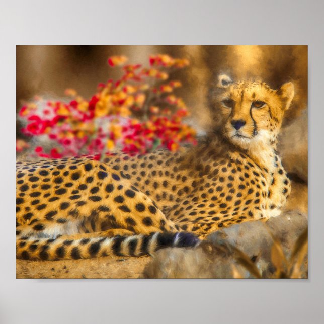 CHEETAH JUST CHILLIN POSTER (Front)