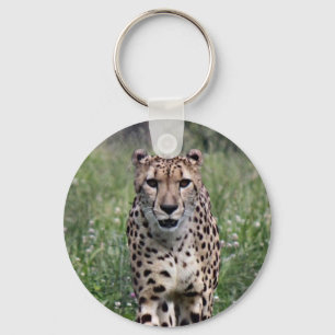 Cheetah key chain