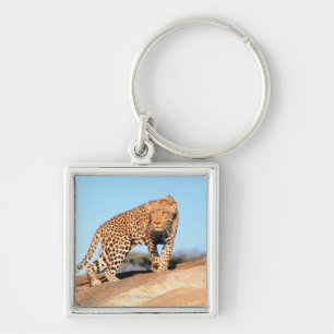 Cheetah Key Ring
