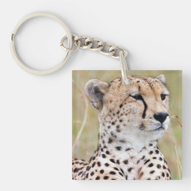 Cheetah Key Ring (Front)