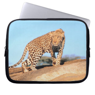 Cheetah Laptop Sleeve