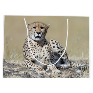 Cheetah Large Gift Bag