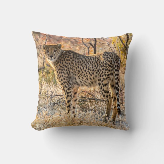 Cheetah Looking Around Cushion (Front)