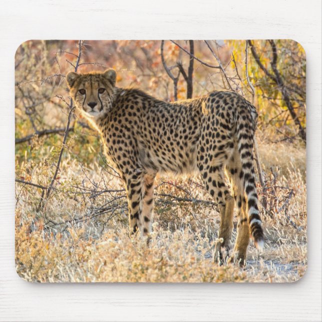 Cheetah Looking Around Mouse Mat (Front)