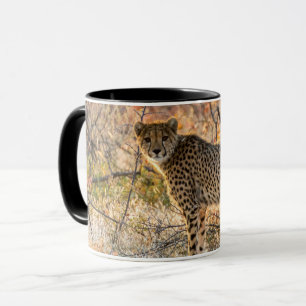 Cheetah Looking Around Mug
