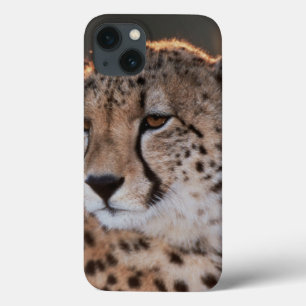 Cheetah looking away iPhone 13 case