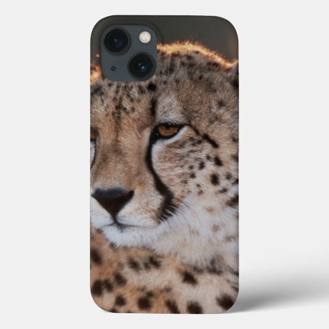 Cheetah looking away Case-Mate iPhone case (Back)